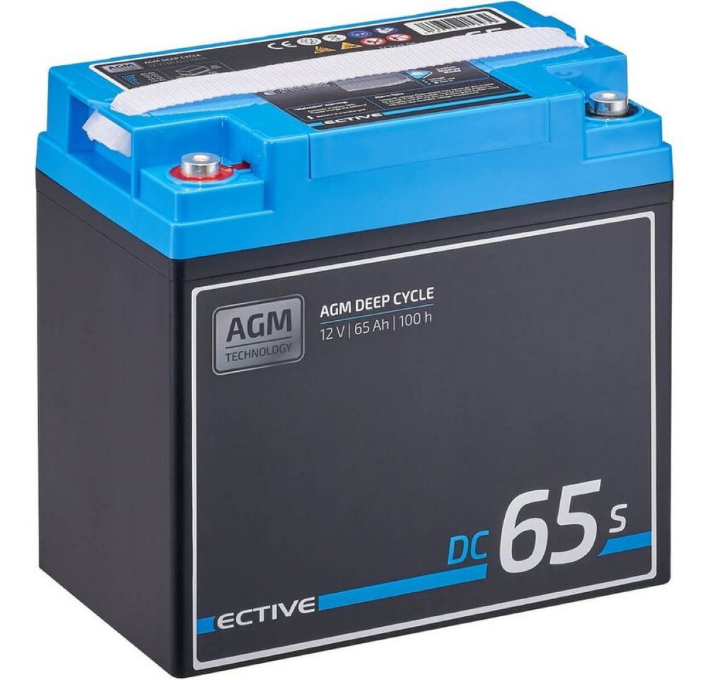 ECTIVE ECTIVE DC 65S AGM Deep Cycle mit LCD-Anzeige 65Ah Versorgungsbatterie Batterie ECTIVE ECTIVE DC 65S AGM Deep Cycle mit LCD-Anzeige 65Ah Versorgungsbatterie Batterie von ECTIVE