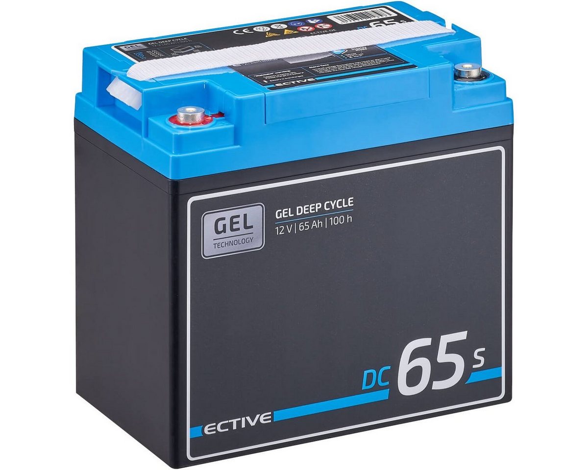 ECTIVE ECTIVE Deep Cycle Blei Gel Batterie 12V 65Ah Wohnmobil Solar Camper Batterie, (12 V V) von ECTIVE