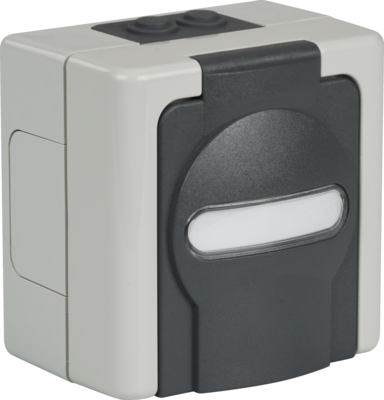 Aufputz-Feuchtraum Leergehäuse -- für 2 Keystone Module IP44 Farbe grau Aufputz-Feuchtraum Leergehäuse -- für 2 Keystone Module IP44 Farbe grau von EFB ELEKTRONIK