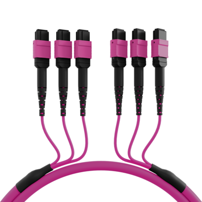 MTP©(F)-MTP©(F) Patchkabel OM4 48 Fasern -- Typ A LSZH erika-violett 25m von EFB ELEKTRONIK