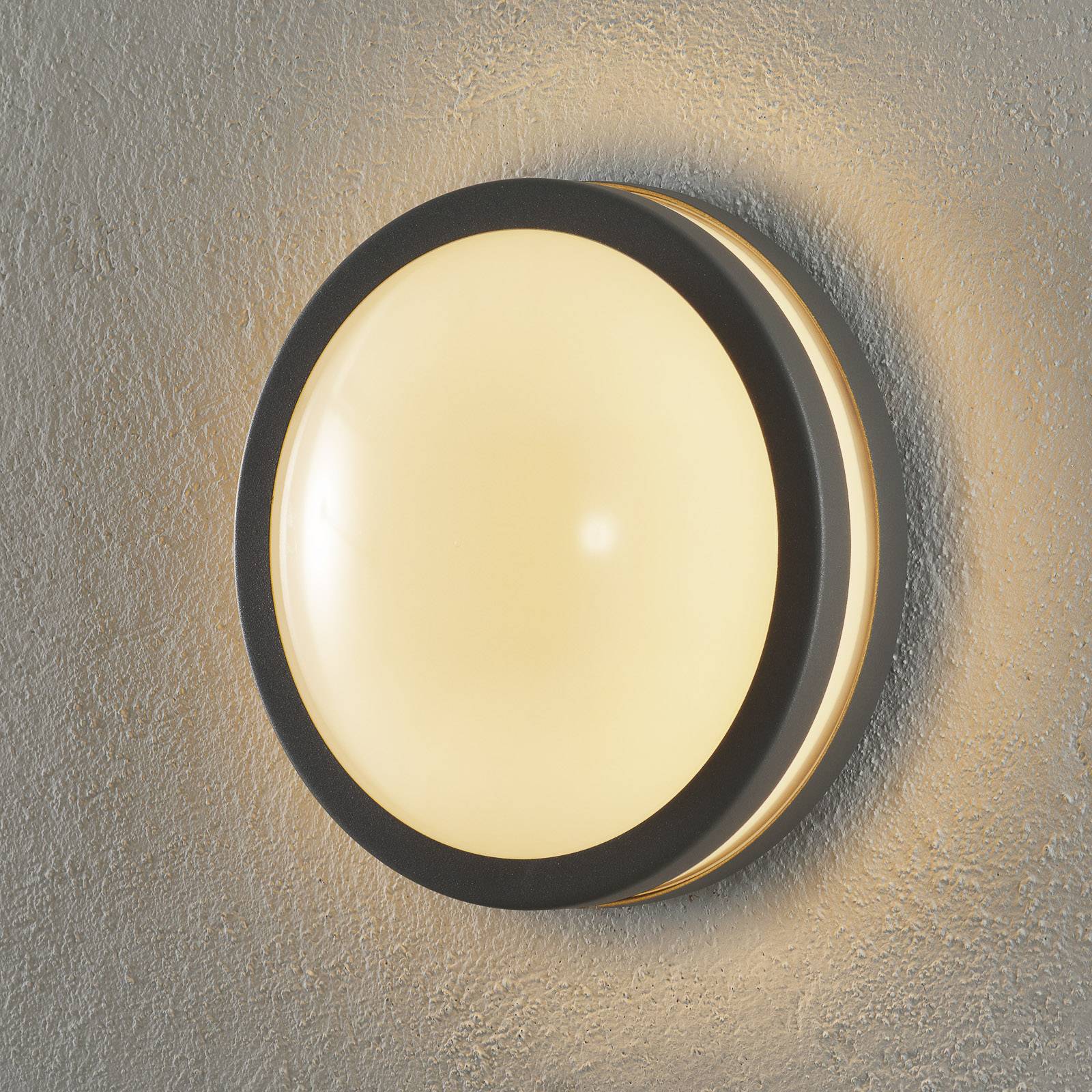 EGLO connect Locana-C LED-Außenwandlampe silber EGLO connect Locana-C LED-Außenwandlampe silber von EGLO connect