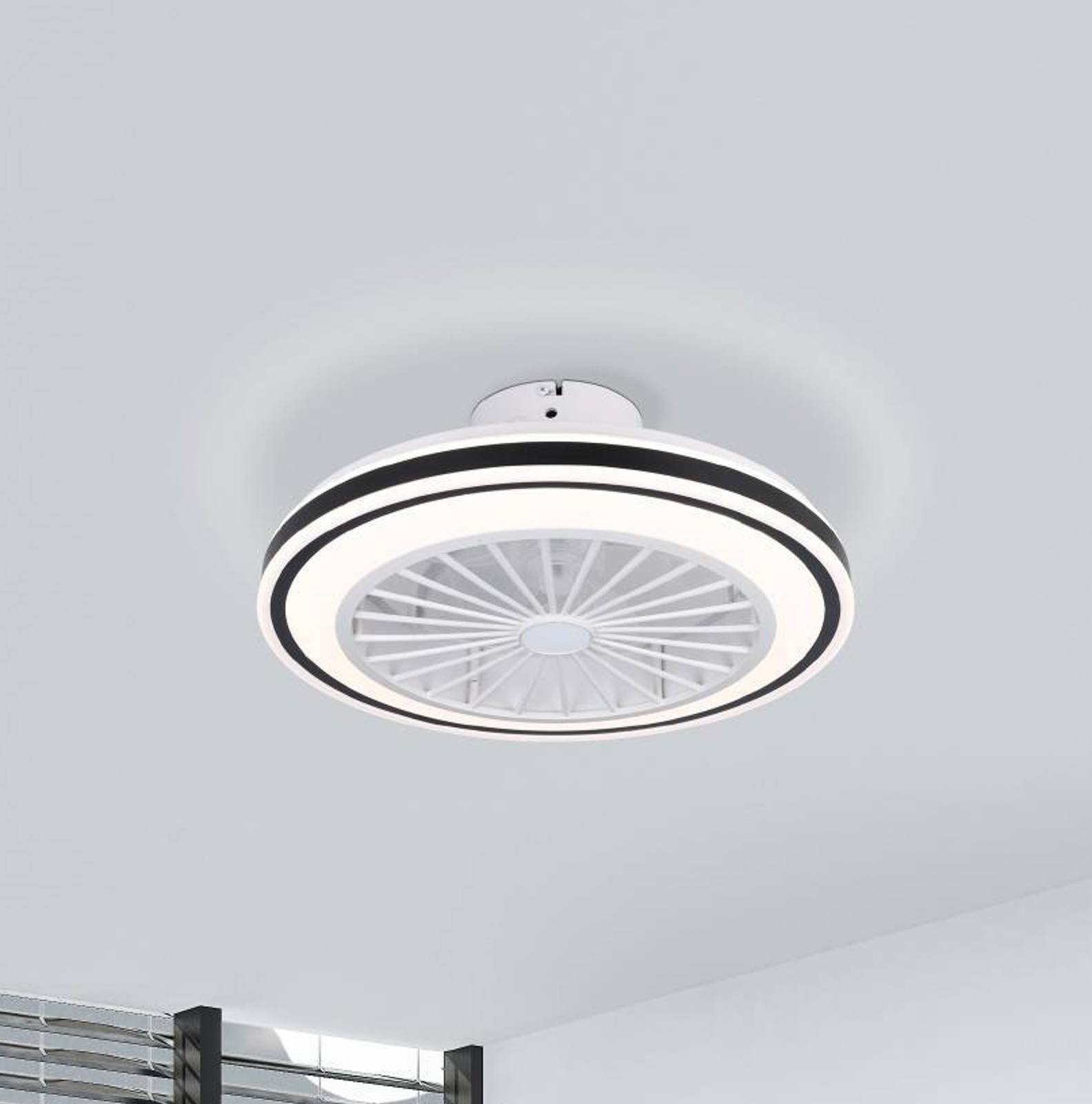 Deckenventilator Almeria LED CCT, weiß/schwarz Deckenventilator Almeria LED CCT, weiß/schwarz von EGLO
