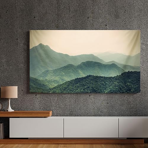 Displayabdeckung für Innenbereich, TV-Staubschutz 32-80 Zoll, LCD-/LED-Schutzhülle, Schlichter Moderner Stil, Weicher Stoff (Farbe 2, 147,3-152,4 cm) von EHYXTEGX