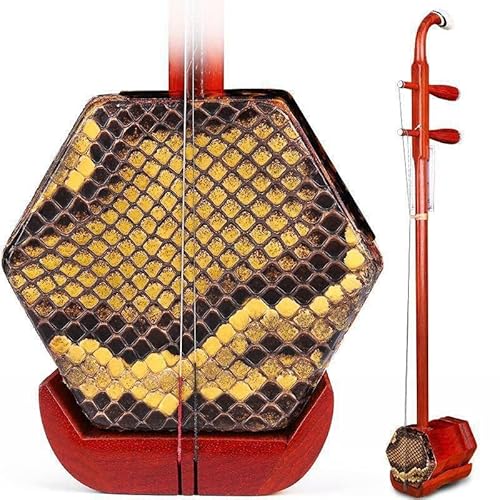 EIERFSKIOT Erhu Chinesische 2-saitige Violine Traditionelles ethnisches Musikinstrument mit Stimmgerät und Box von EIERFSKIOT