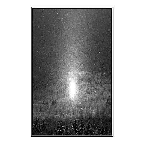 Cendres Celestes (VINYL) von EISENWALD