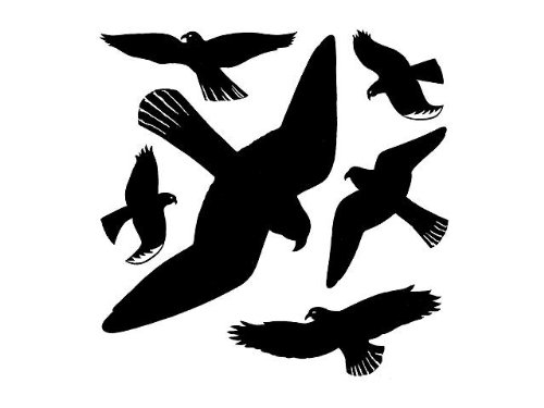 Warnvögel Herma schwarz 30x30cm 5999, Verpackungseinheit: 3 Stück von EK-Welt