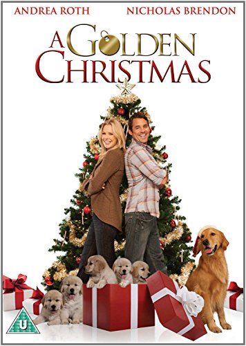 A Golden Christmas [DVD] von ELEVATION