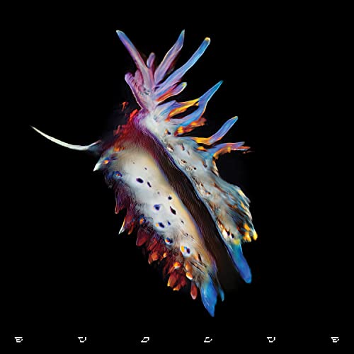 Evolve (2lp) [Vinyl LP] von EMI (Universal Music)