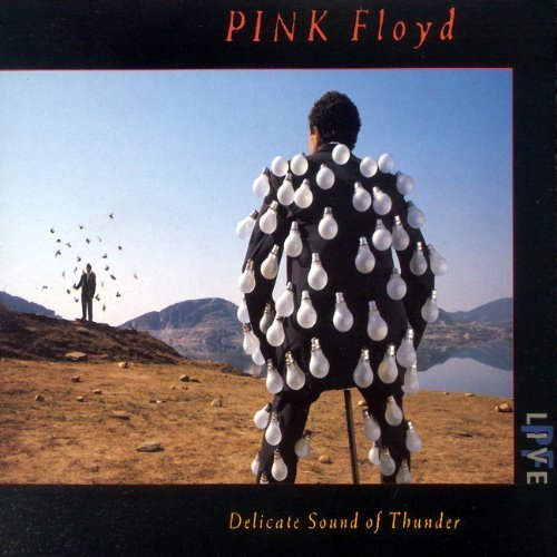 Delicate Sound of Thunder: Live Import Edition by Pink Floyd (2009) Audio CD von EMI Europe Generic