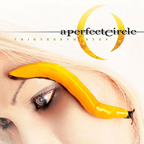 Thirteenth Step Thirteenth Step von UNIVERSAL MUSIC GROUP