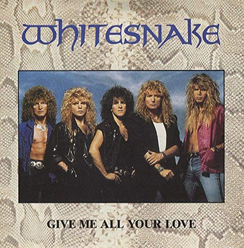 Give Me All Your Love / Fool For Your Loving (Incl. Product Fact) [Vinyl Single] von EMI Records