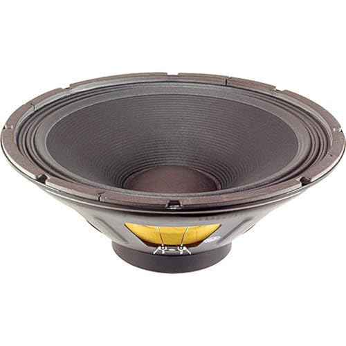 Eminence American Standard Beta-15A 38.1 cm Pro Audio Lautsprecher, 300 Watt bei 8 Ohm, Schwarz Eminence American Standard Beta-15A 38.1 cm Pro Audio Lautsprecher, 300 Watt bei 8 Ohm, Schwarz von EMINENCE