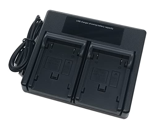 USB Dual Akku Ladegerät für JVC BN-V408 BN-V408U BN-V416 BN-V428 BN-V416U BN-V428U GR-DVL815U DVL820U GR-DV GR-DVL Series Kamera von EMOVERY