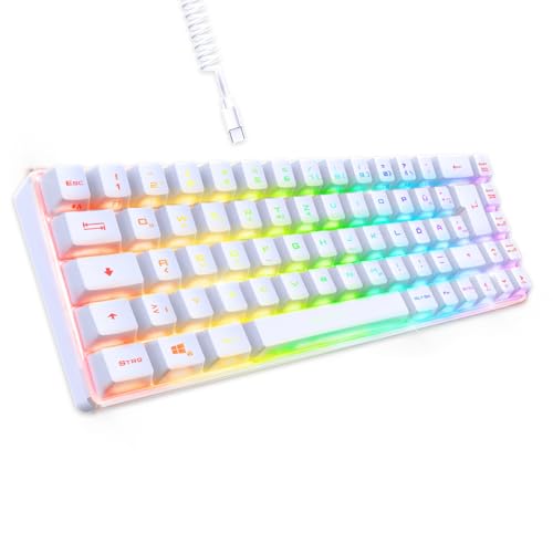EMPIRE GAMING - Neu 2024 - K208 Kompakte TKL-Kabelgebundene Tastatur (DE-QWERTZ) 69 Tasten RGB - Abnehmbares USB Type C Kabel Plug & Play - PC/PS4/PS5/Xbox - 23 Anti-Ghosting-Tasten (Weiß) von EMPIRE GAMING