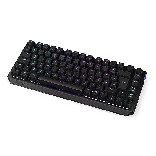 ENDORFY Thock 75% Wireless HU Black, Kailh Box Black linear switches, Wireless Keyboard 2.4 GHz and Bluetooth, 75% Size Mechanical Keyboard, Hungarian Layout | EY5E008 von ENDORFY