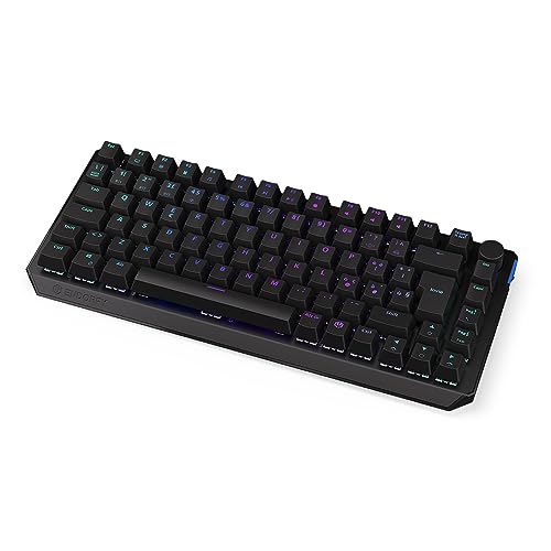 ENDORFY Thock 75% Wireless IT Black, Kailh Box Black linear switches, Wireless Keyboard 2.4 GHz and Bluetooth, 75% Size Mechanical Keyboard, Italian Layout | EY5G008 von ENDORFY