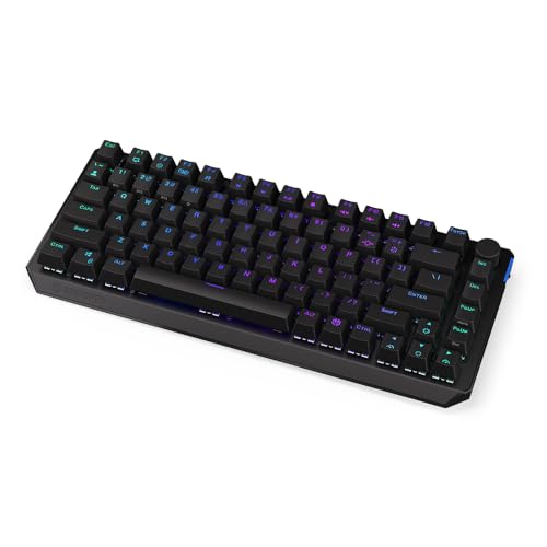 ENDORFY Thock 75% Wireless Red, 75% Wireless Mechanical Keyboard, QWERTY, Kailh Box Red switches, RGB, PBT keycaps | EY5A073, schwarz von ENDORFY