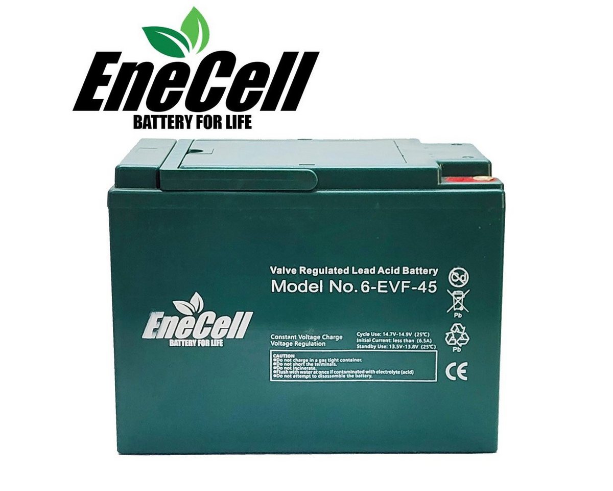 ENECELL Einzelakku 12V 45Ah für ElektroFahrzeuge Kabinenroller Akku 45000 mAh (12 V), Erweiterungsakku, Schraubanschluss von ENECELL