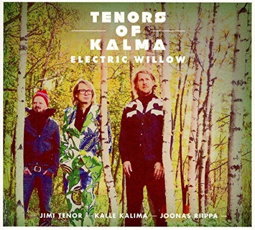 Electric Willow (Feat. Jimi Tenor & Kalle Kalima) von YELLOWBIRD