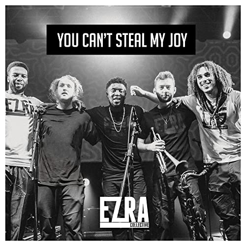 You Can't Steal My Joy Standard LP [Vinyl LP] von Membran