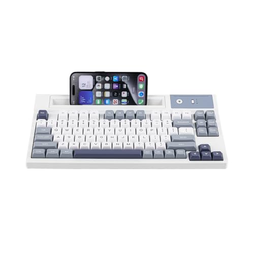 EPOMAKER DynaTab75 Mechanische Tastatur mit Steckplatz für Tablet/iOS/Android. Bluetooth/2,4 GHz/USB-C in Gasket, mit Hot-Swap, RGB-Licht, 5000 mAh Schnellladung (Blue, Wisteria Tactile) von EPOMAKER