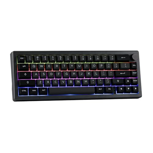 EPOMAKER EK68 65% Gasket NKRO Mechanische Tastatur, Hot Swappable Dreifach-Modus Gaming-Tastatur mit 3000mAh Akku, RGB-Beleuchtet für Büro/Home/Win/Mac (Black Silver, Flamingo Switch) von EPOMAKER