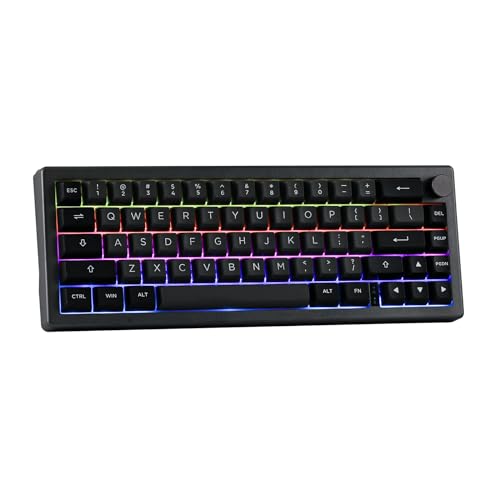 EPOMAKER EK68 65% Gasket NKRO Mechanische Tastatur, Hot Swappable Dreifach-Modus Gaming-Tastatur mit 3000mAh Akku, RGB-Beleuchtet für Büro/Home/Win/Mac (Black Silver, Wisteria Linear Switch) von EPOMAKER