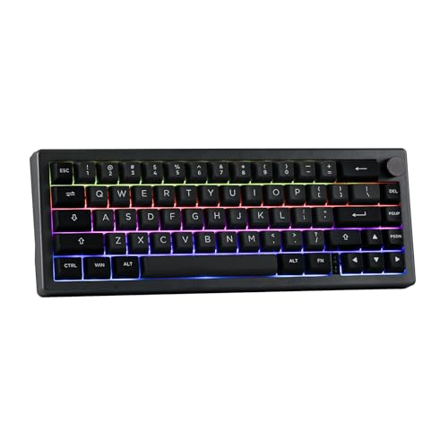 EPOMAKER EK68 65% Gasket NKRO Mechanische Tastatur, Hot Swappable Dreifach-Modus Gaming-Tastatur mit 3000mAh Akku, RGB-Beleuchtet für Büro/Home/Win/Mac (Black Silver, Wisteria Linear Switch) von EPOMAKER