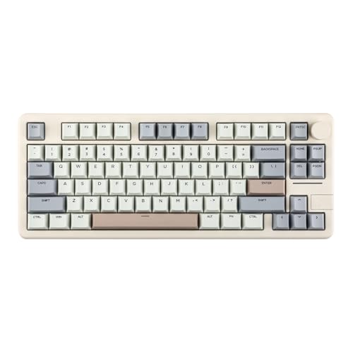 EPOMAKER Galaxy70 Aluminium Mechanische Gaming-Tastatur Kabellos, Thocky Hot Swap Gaming-Tastatur 75%, Bluetooth/2.4GHz/USB, Programmierbare Tasten & RGB (Weiß Grau, Petal Linear Switch) von EPOMAKER