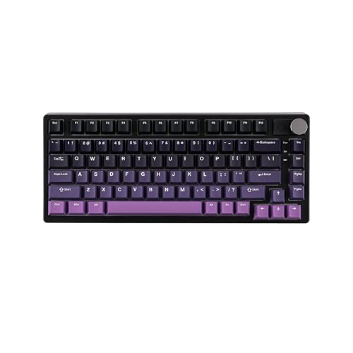 EPOMAKER HE75 75% Gaming-Tastatur mit Magnetic Switches, RGB Hall-Effekt Gaming-Tastatur Kabellos mit Einstellbarem Betätigungsweg, Austauschbarem Knopfmodul, 2,4 GHz/Bluetooth (Schwarz Violett) von EPOMAKER