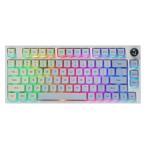 EPOMAKER Monet TH80 Pro 75% Hotswap Tastatur, 2,4 GHz/Bluetooth 5.0/kabelgebundene mechanische Gaming-Tastatur mit RGB Beleuchtung, MDA PBT-Tastenkappen(Budgerigar Switch) von EPOMAKER