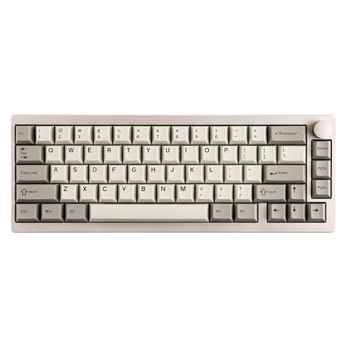 EPOMAKER P65 QMK/VIA Kabellose Aluminium-Gaming-Tastatur, Gasket-Mount, Bluetooth/2.4Ghz/USB(A to C), Hot Swap fähig, N-Key-Rollover, für Mac/PC/PS/Xbox (Retro Weiß, Wisteria Linear Schalter) von EPOMAKER