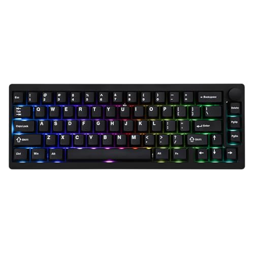 EPOMAKER P65 QMK/VIA Kabellose Aluminium-Gaming-Tastatur, Gasket-Mount, Bluetooth/2.4Ghz/USB(A to C), Hot Swap fähig, N-Key-Rollover, für Mac/PC/PS/Xbox (Schwarz, Wisteria Linear Schalter) von EPOMAKER