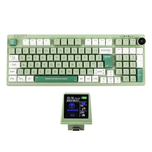 EPOMAKER RT100 97 Tasten ISO(UK) Mechanische Gaming Tastatur mit Anpassbarem Mini TV, Dichtung, DREI Modi (BT5.0/2.4Ghz/USB-C), Hot Swappable Sockel, 5000mAh Akku (Grün, Wisteria Linear) von EPOMAKER