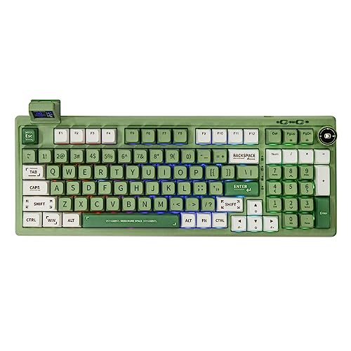 EPOMAKER RT100 Mechanische Tastatur Gasket mit anpassbarem Display, Bluetooth/2.4G/USB, Drehregler, Hot Swap, 5000mAh Akku, RGB für Win/Mac/Gaming (Green (US QWERTY), Epomaker Flamingo Switch) von EPOMAKER