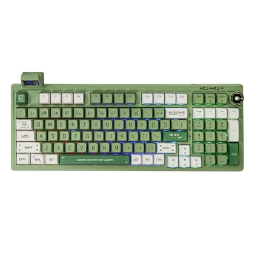 EPOMAKER RT100 Mechanische Tastatur Gasket mit anpassbarem Display, Bluetooth/2.4G/USB, Drehregler, Hot Swap, 5000mAh Akku, RGB für Win/Mac/Gaming (Green (US QWERTY), Wisteria Tactile Switch) von EPOMAKER