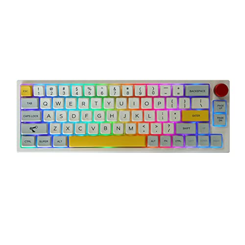 EPOMAKER TH66 PRO 65% Hot Swappable RGB Triple Mode Mechanische Gaming Tastatur mit MDA PBT Tastenkappen, 2200mAh Langzeit-Akku, Knopfsteuerung für Mac/Win/PS4/PS5(White Case, Gateron Pro Red) von EPOMAKER