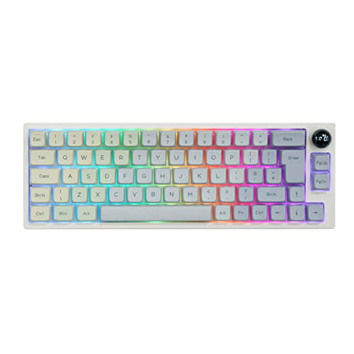 EPOMAKER TH66 PRO ISO Layout 65% Hot Swappable RGB NKRO Dreifach-Modus Mechanische Gaming Tastatur mit MDA PBT Tastenkappen, Knopfsteuerung für Mac/Win(Monet Keycaps, Budgerigar Switch) von EPOMAKER