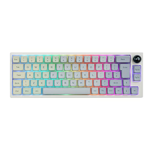 EPOMAKER TH66 PRO ISO Layout 65% Hot Swappable RGB NKRO Dreifach-Modus Mechanische Gaming Tastatur mit MDA PBT Tastenkappen, Knopfsteuerung für Mac/Win/PS4/PS5(Monet Keycaps, Flamingo Switch) von EPOMAKER