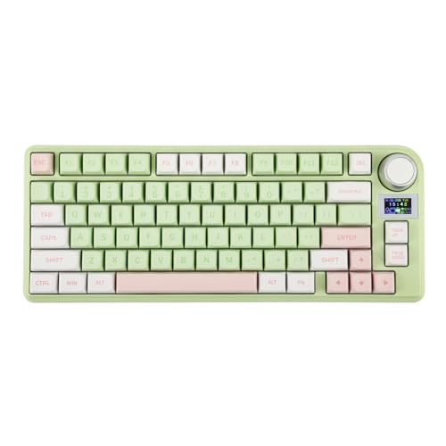 EPOMAKER TH80-X Gasket Mechanische Tastatur, 75% Layout Hot-swap mit 4000mAh Akku, LCD Bildschirm, Silikonpad, NKRO, RGB für Gaming/Office/Win/Mac (TH80-X Pink Green, Gateron Pro Black) von EPOMAKER