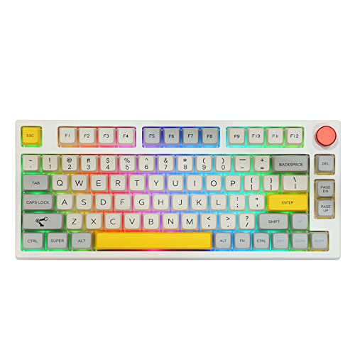 EPOMAKER Theory TH80 Pro 75% Hotswap Tastatur, 2,4 GHz/Bluetooth 5.0/Kabelgebundene Mechanische Gaming-Tastatur mit RGB Beleuchtung, MDA PBT-Tastenkappen für WIN/MAC/PS4/PS5/Xbox (Flamingo Switch) von EPOMAKER