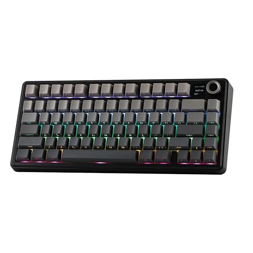 EPOMAKER X Aula F75 MAX Mechanische Gaming-Tastatur 75% mit TFT-Bildschirm und Drehregler, Gasket Hot-Swap Gaming-Tastatur Kabellos für PC/Mac/Linux, QWERTY US-Layout (Schwarz, Reaper Switch) von EPOMAKER