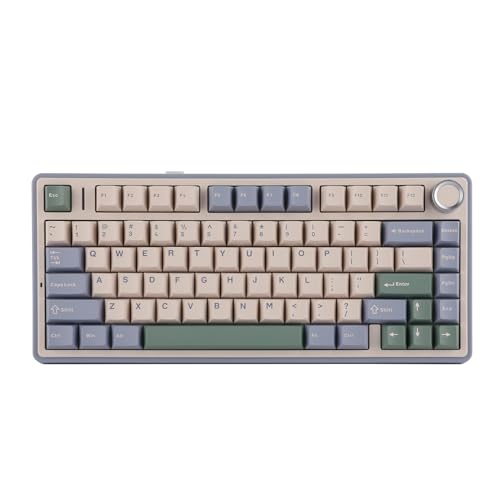 EPOMAKER x Aula F75 Gasket Mechanische Tastatur, 75% Hot swap-fähige Gaming-Tastatur mit Fünf-Schicht-Polsterung&Knopf, Bluetooth/Wireless/USB-C, RGB (Green, Ice Vein Switch) von EPOMAKER
