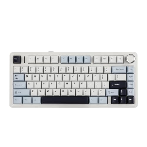 EPOMAKER x Aula F75 Gasket Mechanische Tastatur, 75% Hot swap-fähige Gaming-Tastatur mit Fünf-Schicht-Polsterung&Knopf, Bluetooth/Wireless/USB-C, RGB (Light Blue, LEOBOG Reaper Switch) von EPOMAKER