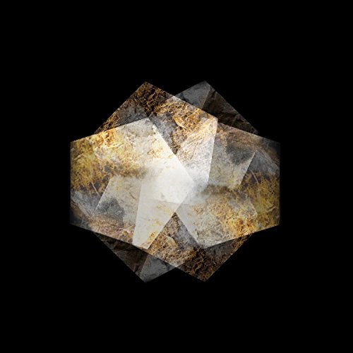 The Weathered Stone [Vinyl LP] von ERGODOS