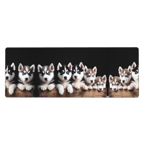 ESASAM Husky Puppies Hunde-Mauspad, 76,2 x 203,2 cm, verdicktes Design, bequemer zu bedienen ESASAM Husky Puppies Hunde-Mauspad, 76,2 x 203,2 cm, verdicktes Design, bequemer zu bedienen von ESASAM