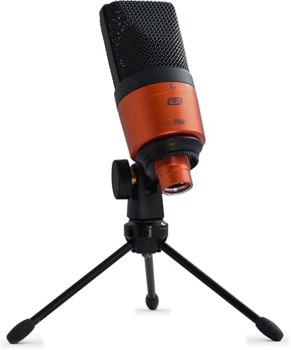 ESI cosMik 10 | Professionelles Studio-Kondensatormikrofon von ESI
