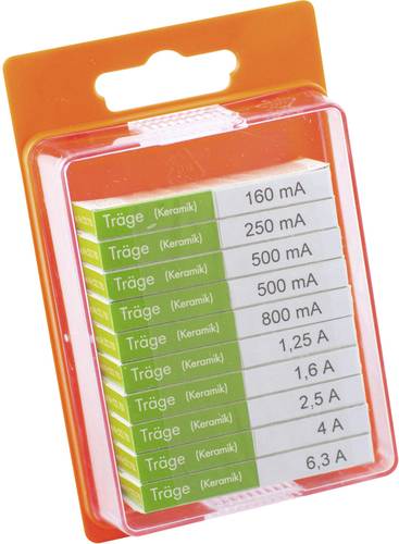 ESKA 122.850 122850 Feinsicherung-Sortiment (Ø x L) 5mm x 20mm Träge -T- Inhalt 100St. von ESKA