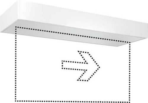 ESYLUX EN10077371 LED Fluchtweg-Notbeleuchtung Deckenmontage rechts, links von ESYLUX