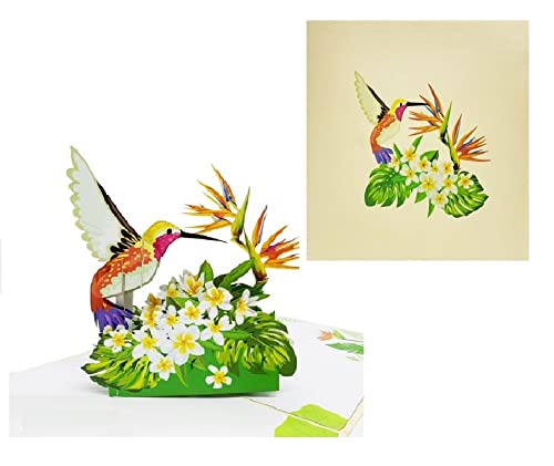 ETA 3D Kolibri und Blume Pop Up Karte, 3D Vogel Karte, Blume Geburtstag Pop Up Karte, Natur Karte, Muttertagskarte, 3D Karte zum Jahrestag, Dankeschön, Alle Gelegenheiten, A04 von ETA